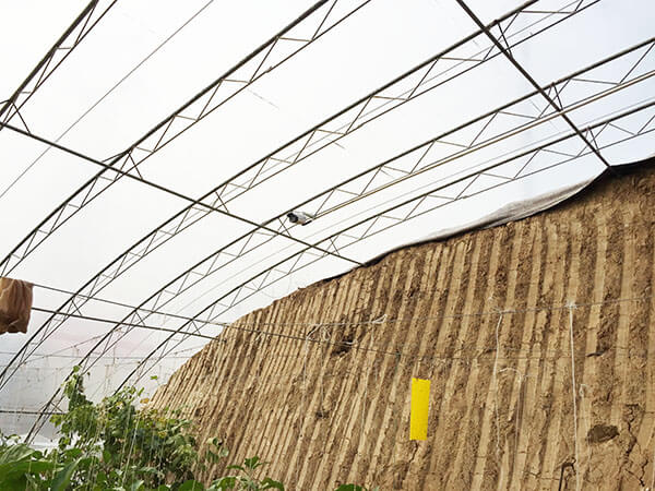 農業(yè)園區(qū)大棚內安裝監(jiān)控