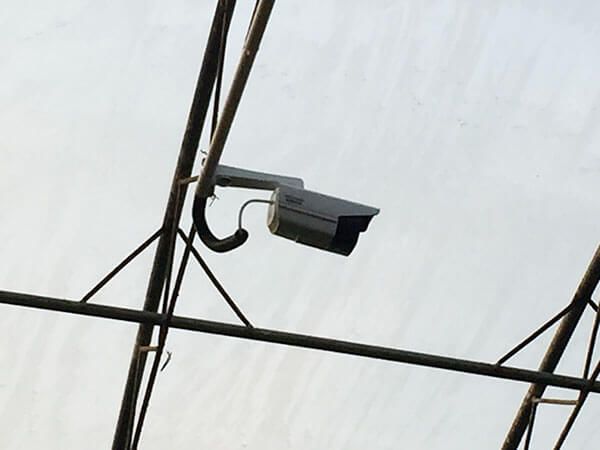 農業(yè)園區(qū)大棚內安裝監(jiān)控